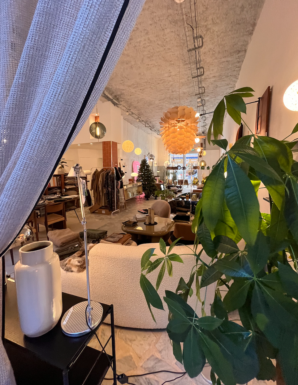 Photo de la boutique Concept-store Marseille 9
